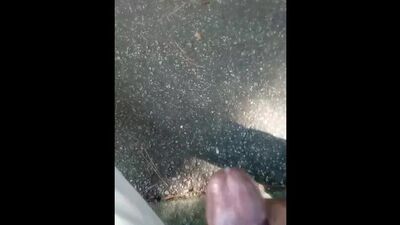 Nuttin Around In The Park