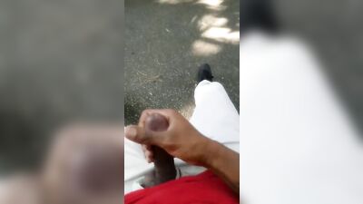 Nuttin Around In The Park