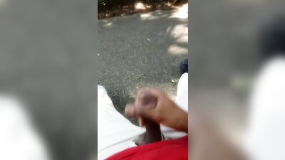 Nuttin Around In The Park