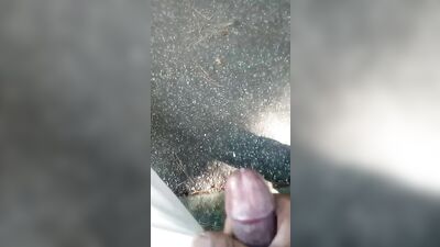 Nuttin Around In The Park