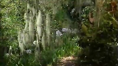 Steve Hammonds Bareback Romp with Kevin Williams