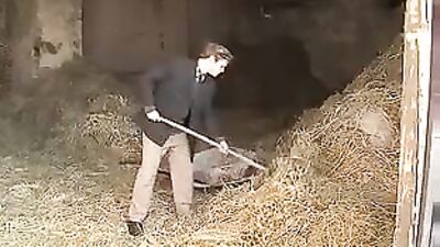 Hidd*en in the barn...made part of the fun!