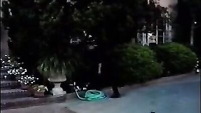 Steve Codys Bareback Group Sex Adventure with Arik Travis and Alex Thomas