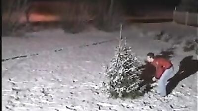 Sporty Dudes Lick and Love: A Hot Gay Oral Adventure