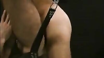 Gay Porn Action: Fun in the Sling - Hardcore Slinging Adventures!