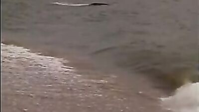 Gay Beach Pursuit: From Sandy Sex to Home Sweet Domination