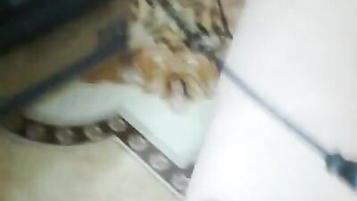 Sexy Handjob: Amateur Cum Shots