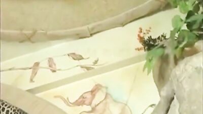 Asian Stallions: Hardcore Action with Amateur Asians