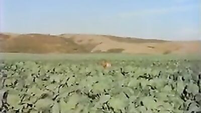 Cucumber Ki*ds Bareback Group Sex Adventure