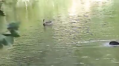 Red Bed Bareback Adventure