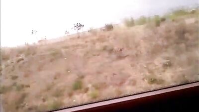 Stepbrother Exposure on Public Transportation!