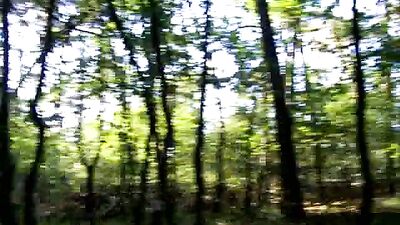 Young Cumshot Hunks: Big Woods Jerk Session!