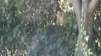 Gay Boy Beside The Pool Twink Summer Porn Tube - Action Adventure