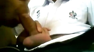 Asian Heat Seekers: Hardcore Sucking Action!