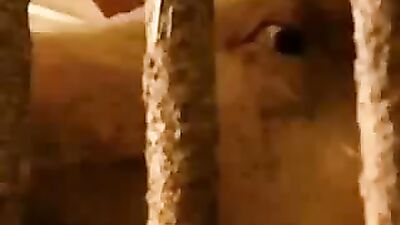 Farm Boys - Action: Hardcore Gay Porn Video