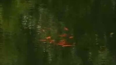 Boy Sex in the forest isolated secrete teens porn place