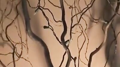 After a Nap: Bareback Action Adventure