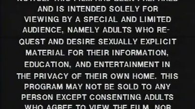 Peep Show 2: Classic Twinks Reveal All