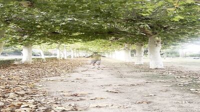 Risky Flash Cock In The Street, Cruising Gay Video