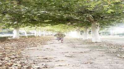 Risky Flash Cock In The Street, Cruising Gay Video