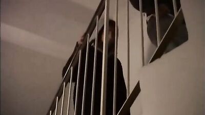 Bareback Ride: No Regrets