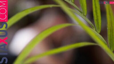 STAXUS : TWISTER TWINKS HOT GAME ! ????️????