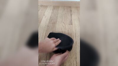 3 - Three little piggies went to the market - Teaser