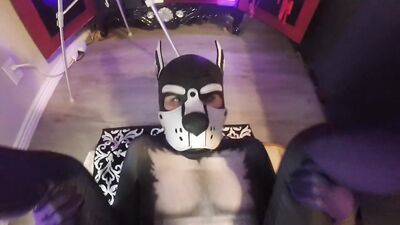 Moaning Pup gets SPITROASTED BAREBACK, takes two big loads!