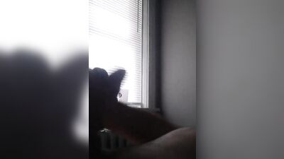 Awww you came to watch Jupiterquake cum ???? how sweet ???? ????