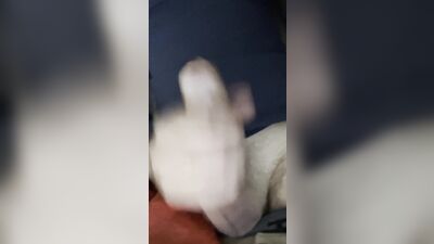 Herrytheking Twink 18 masturbates after school