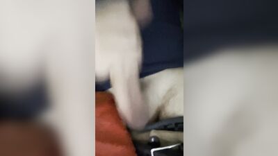 Herrytheking Twink 18 masturbates after school