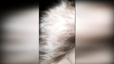 gay porno sex twink FoxYaoi sucks big dick in the car