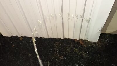 Little Twink Whips Out Cock and Public Urinates on Building to Mark Territory