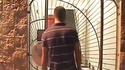 Glory Holes Orgy: Lets Go Wild!