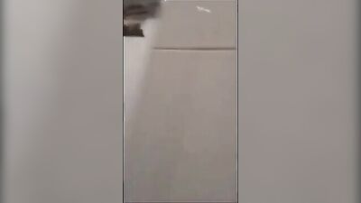 Gay Porn Spy Cam in Public Showers - Muscular Asian Guys