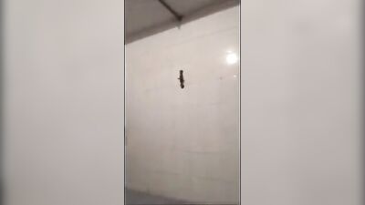 Gay Porn Spy Cam in Public Showers - Muscular Asian Guys