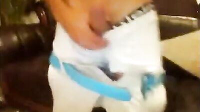 SuperHotBoyXLCs Amateur Handjob Adventure: Exploring Sexual Pleasure Beyond Limits!