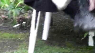 Gay Porn Trooper: Bared Friends Unveiled!