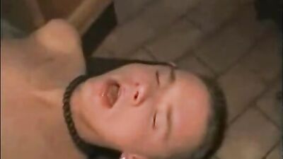 Gracious Demeanors Wild Party: The Ultimate Gay Porn Experience!