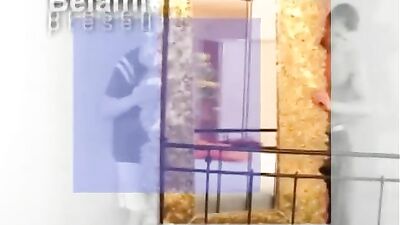 Bel Ami Personal Trainers: The Ultimate Gay Porn Video Experience!