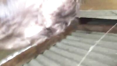 White Boys Assaulted By Big Cocks: Amateur Edition!