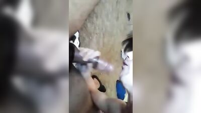 BBC Blowjob: Interracial Gay PornTube Delights!