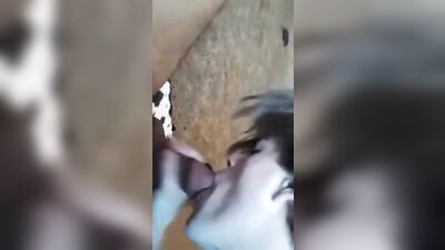 BBC Blowjob: Interracial Gay PornTube Delights!