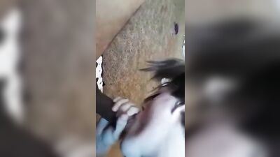 BBC Blowjob: Interracial Gay PornTube Delights!