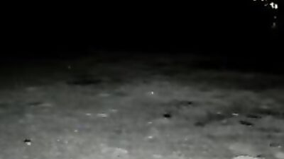 Jerking in School Night Twinks Gay Porn Cum Shots Solo Voyeur