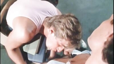 Vintage Nova Classic Heroes: Gay Porns Timeless Sensation