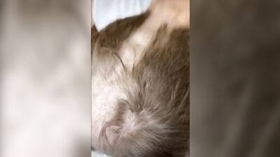 Cute Twink Shaves His Head - Boys Porn Cute