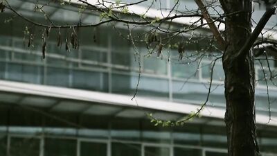 Gay Porn Boys - He Likes Them!