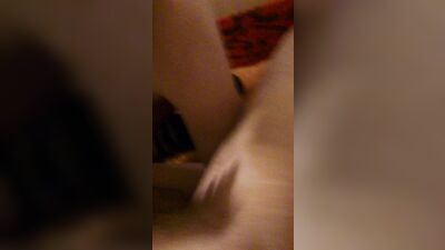 Sucking Amateurs: Hardcore Oral Delight