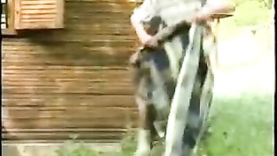 Boy Picnic: Bareback Adventure